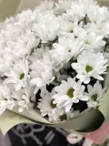 "Букет из кустовых хризантем Кеннеди " – Фото 1