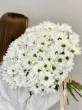 "«Smile» букет из ромашковых хризантем 15шт" – Фото 0