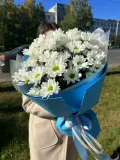 "5 Кустовых хризантем в дизайнерской упаковке" – Фото 3