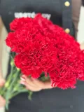 "20 гвоздик красных" – Фото 1