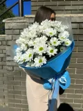 "5 Кустовых хризантем в дизайнерской упаковке" – Фото 2