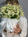 "Композиция с ромашками (матрикария) белого цвета" – Фото 0