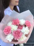 "Диантусы (Гвоздики сортовые)" – Фото 1