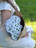 "Букет из 5 веток кустовой белой хризантемы" – Фото 0