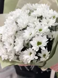 "Букет из кустовых хризантем Кеннеди " – Фото 0