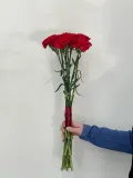 "8 красных гвоздик " – Фото 2