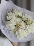 "Белая гвоздика и ромашка" – Фото 1