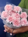 "Розовый диантус" – Фото 1