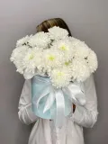 "«Звездная колыбель» хризантемы в шляпной коробке" – Фото 0