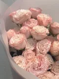 "Нежные розовые пионовидные розы бомбастик" – Фото 1