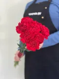 "8 красных гвоздик " – Фото 0