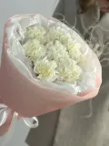"Диантусы и ковыль" – Фото 0