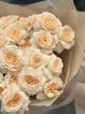 "Кустовые пионовидные розы Pavlova 5" – Фото 2