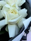 " Букет Французские розы белые 5 шт «школа»" – Фото 4