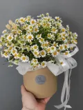 "Цветы в коробке / композиция с Матрикарией (ромашка)" – Фото 4
