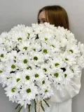 "«Smile» букет из ромашковых хризантем 15шт" – Фото 2