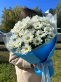"5 Кустовых хризантем в дизайнерской упаковке" – Фото 1