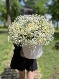 "Гипсофила и танацетум в шляпной коробке " – Фото 0