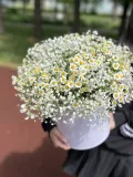 "Гипсофила и танацетум в шляпной коробке " – Фото 1