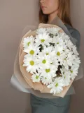 "Белые ромашки" – Фото 1