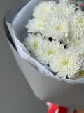"Хризантема кустовая и котик ️" – Фото 3