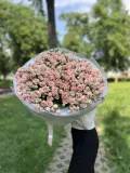 "букет из 49 кустовых роз " – Фото 0
