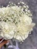 "Букет невесты из диантусов и гипсофилы" – Фото 0