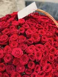 "Корзина из 251 красной розы" – Фото 3