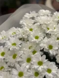 "wow букет ромашек" – Фото 2