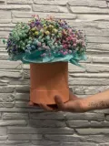 "Гипсофила цветная в шляпной коробке " – Фото 1