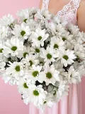 "Букет из 11 кустовых хризантем" – Фото 1