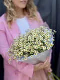 "Полевой и нежный букет ромашек" – Фото 1