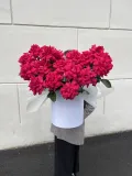 "ФРАНЦУЗСКАЯ РОЗА МАЛИНОВАЯ 25 ШТ В ШЛЯПНОЙ КОРОБКЕ" – Фото 0