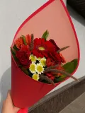 "Красное сияние" – Фото 5