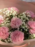 "Диантусы и гипсофила " – Фото 2
