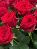 "Букет из 25 высоких роз" – Фото 2