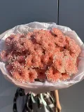 "Хризантемы кустовые, акция - поцелуй ангела вип" – Фото 1
