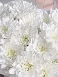 "Воздушный букет белая кустовая хризантема" – Фото 1