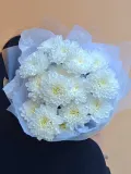 "Монобукет комплимент из белой кустовой хризантемы" – Фото 1