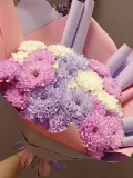 "хризантемы кустовые" – Фото 1