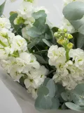 "Сборный букет из белой маттиолы и эвкалипта" – Фото 1