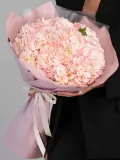 "Малиновый зефир" – Фото 0