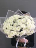 "9 Кустовых Хризантем" – Фото 2