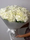"Облако гортензий" – Фото 0