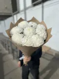 "Хризантема Магнум 9 штук" – Фото 1