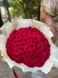 "101 красная роза " – Фото 1