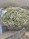 "Нежное облачко" – Фото 0