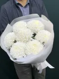 "Хризантема Магнум 7 штук" – Фото 2