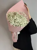 "Кулек из гипсофилы" – Фото 0