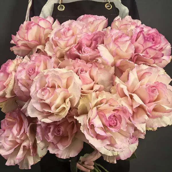 Французские розы 25 шт